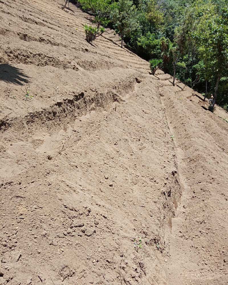 Hillside in Guatamala that has been tilled for planting.